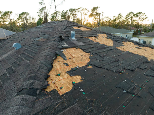 Best Gutter Installation and Repair  in Cedar Park, TX